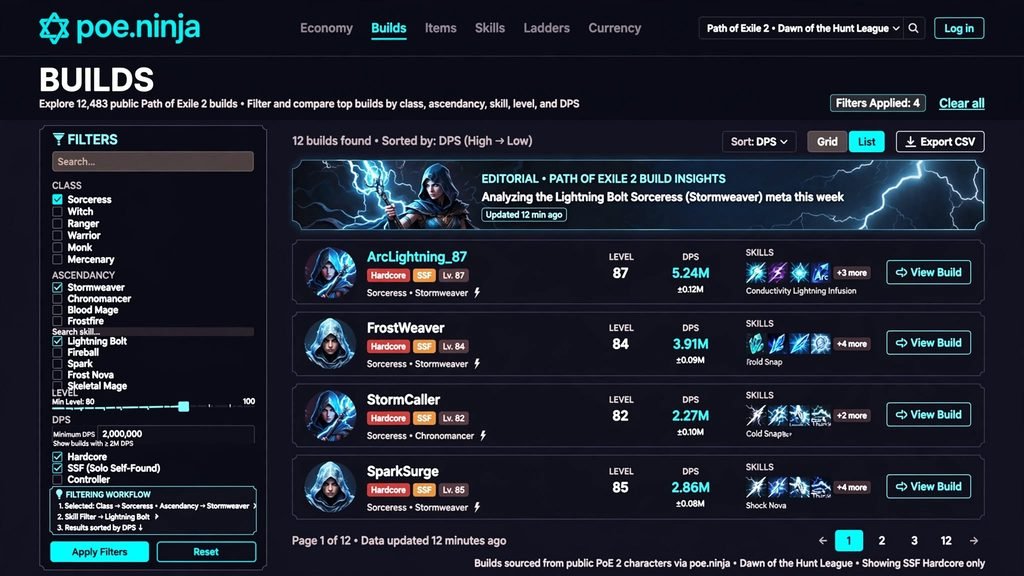 PoE2 Ninja builds page showing class and skill filters